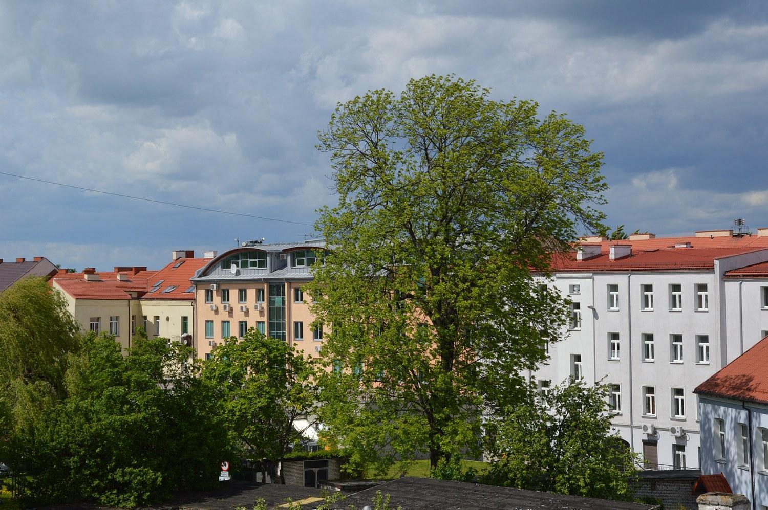 Pokoje Goscinne Centrum Kultury Prawoslawnej Bialystok Bagian luar foto